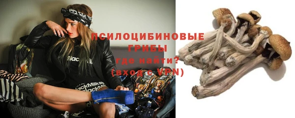 крисы Белокуриха