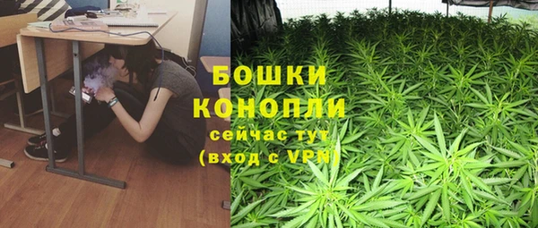 крисы Белокуриха