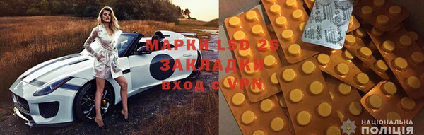крисы Белокуриха